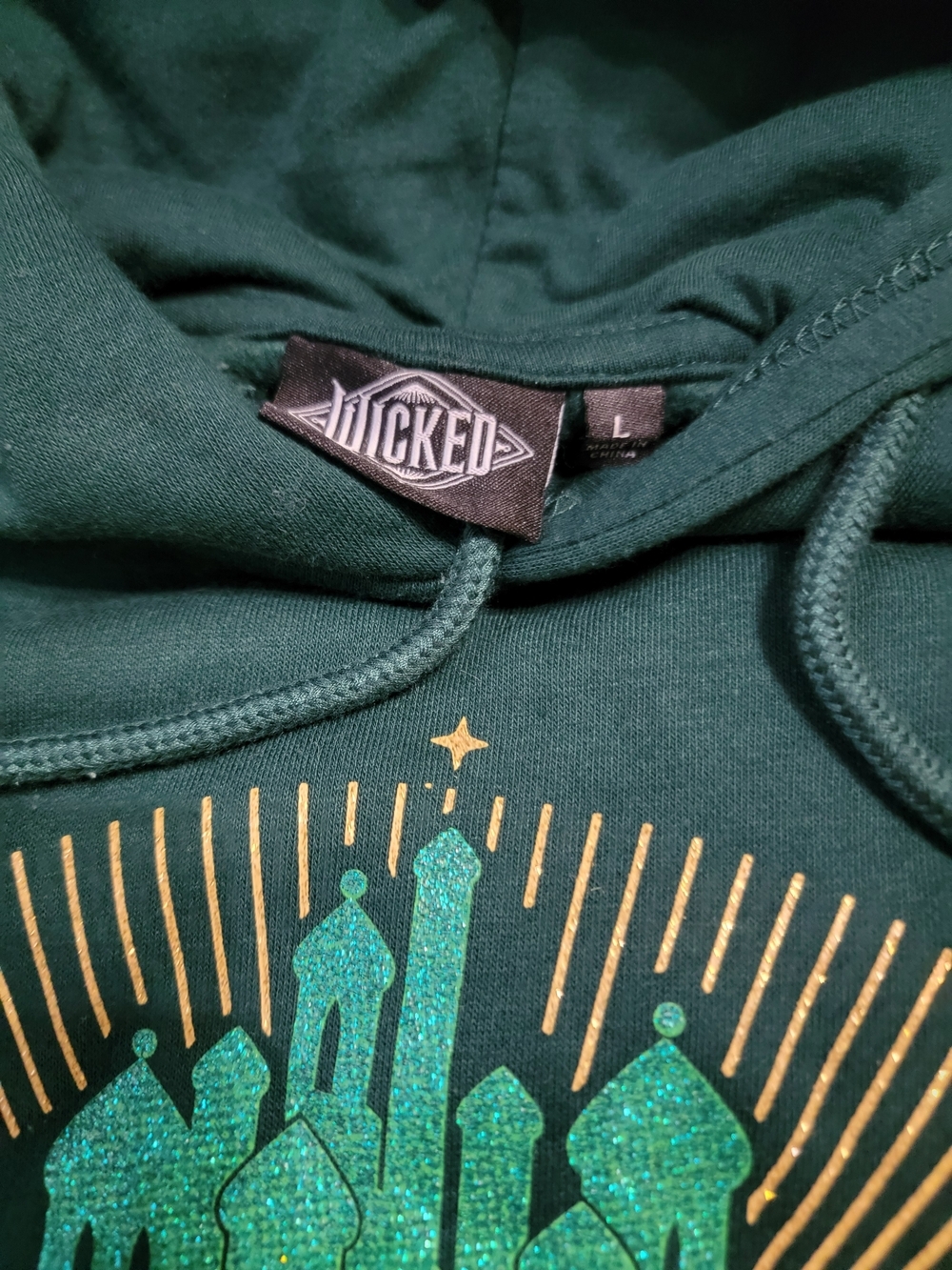 Fashion Nova x WICKED Emerald City Fleece Hoodie - Size Large - Picture 2 of 6